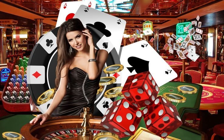 551bet6